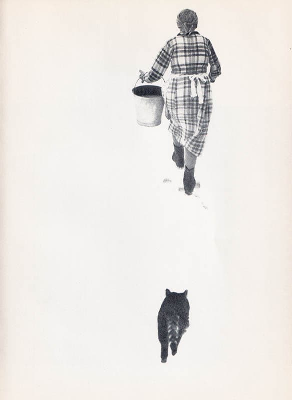 Sune Jonsson : Timotejvägen