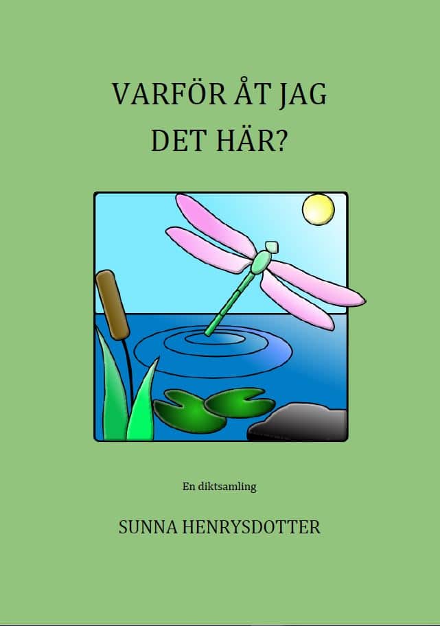 Sunna Henrysdotter : Varför åt jag det här?