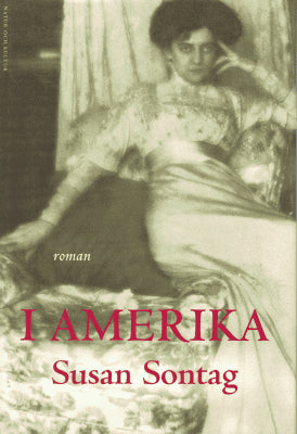 Susan Sontag : I Amerika