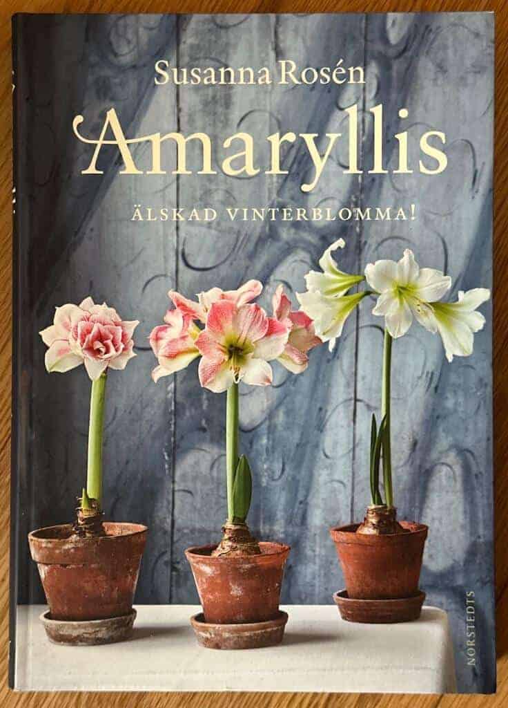 Susanna Rosén : Amaryllis