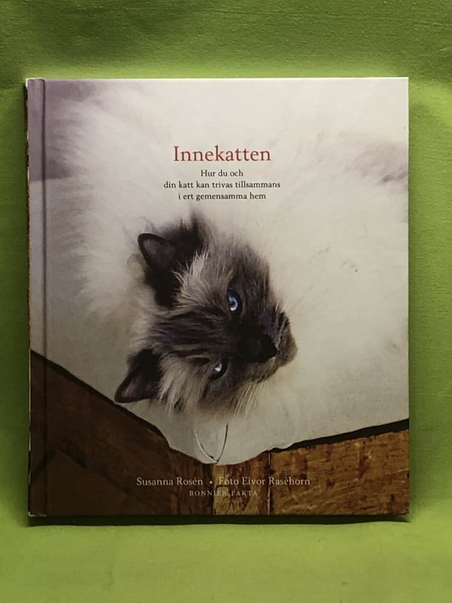 Susanna Rosén : Innekatten