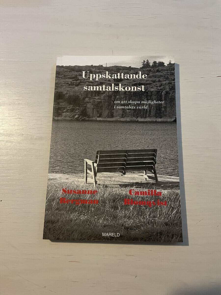 Susanne Bergman : Uppskattande samtalskonst