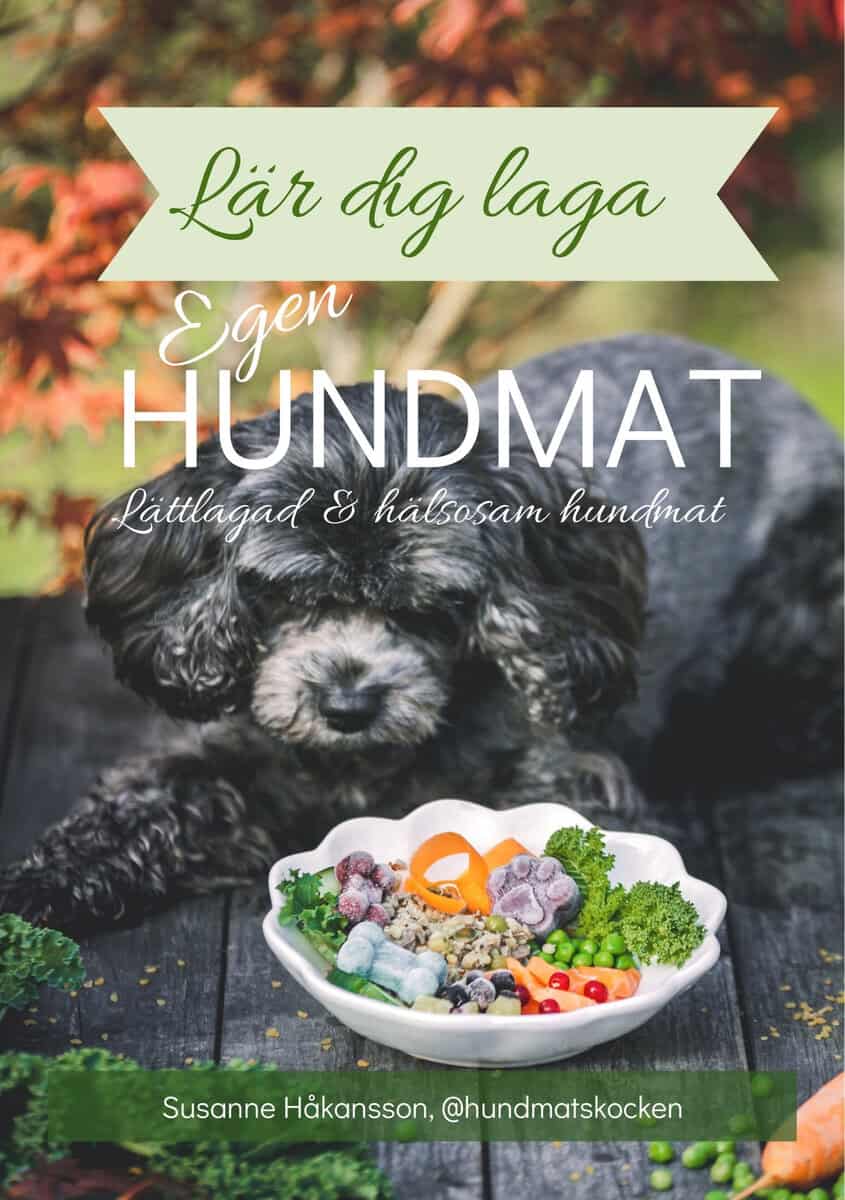 Susanne Håkansson : Lär dig laga egen hundmat