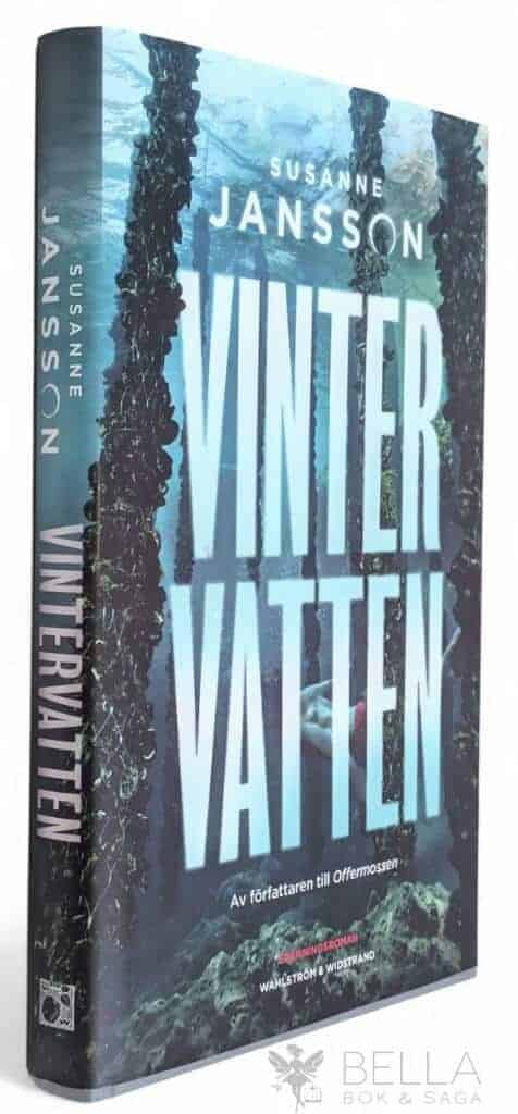 Susanne Jansson : Vintervatten