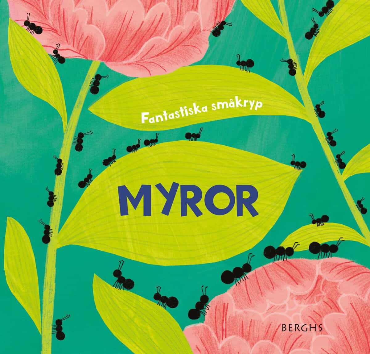 Susie Williams : Myror