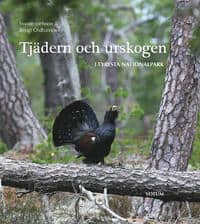 Svante Joelsson ; Bengt Oldhammer : Tjädern och urskogen