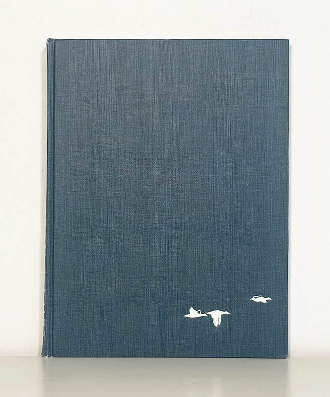 Svante Lundgren : Kust