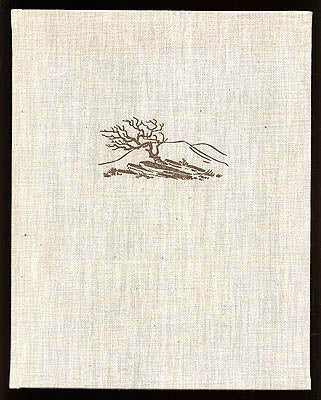 Svante Lundgren : Stiglöst land