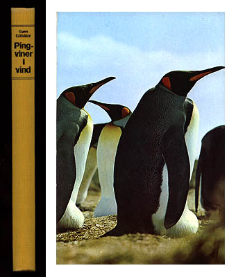 Sven Gillsäter : Pingviner i vind