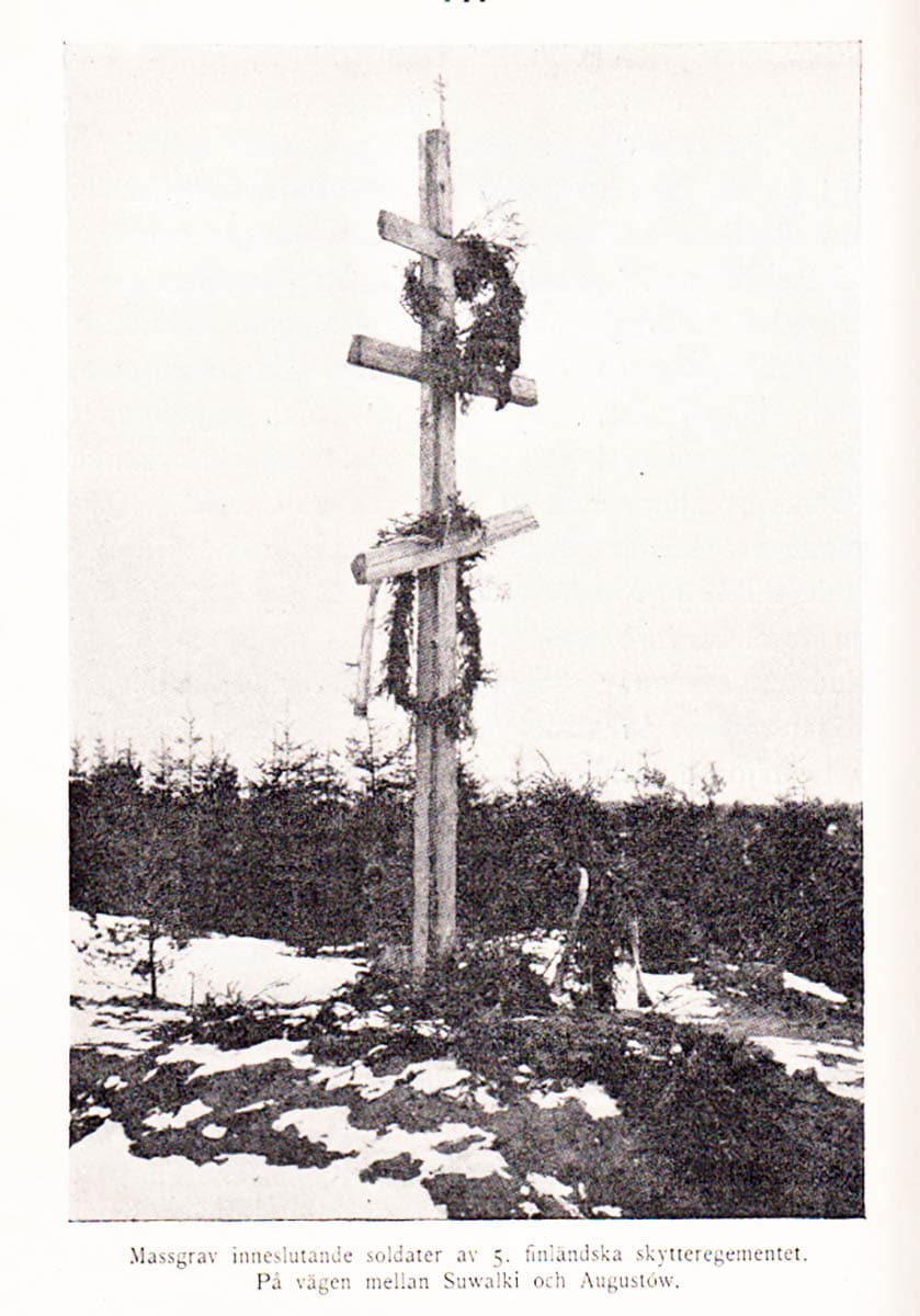 Sven Hedin : Kriget mot Ryssland