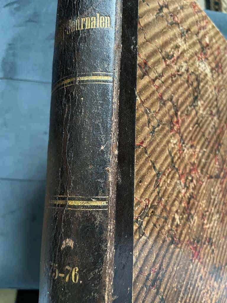 Svenska familj-journalen 1875 och 1876