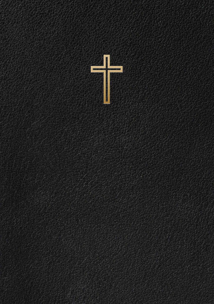 Svenska Folkbibeln 2015 : Slimline Svart Konstskinn