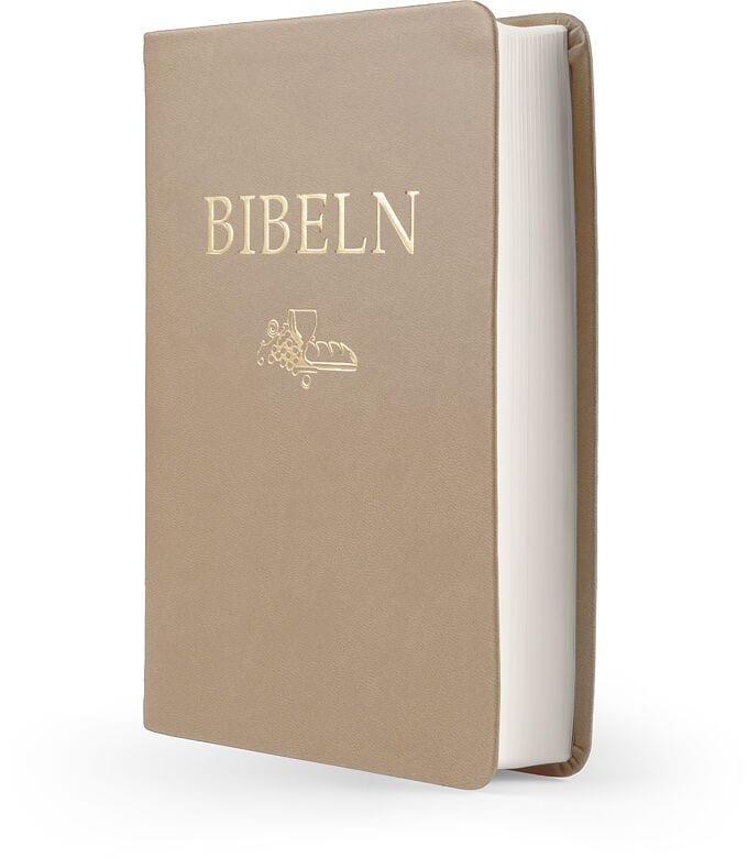 Svenska Folkbibeln : Bibeln SFB 2015, kompakt, brun skinnimitation