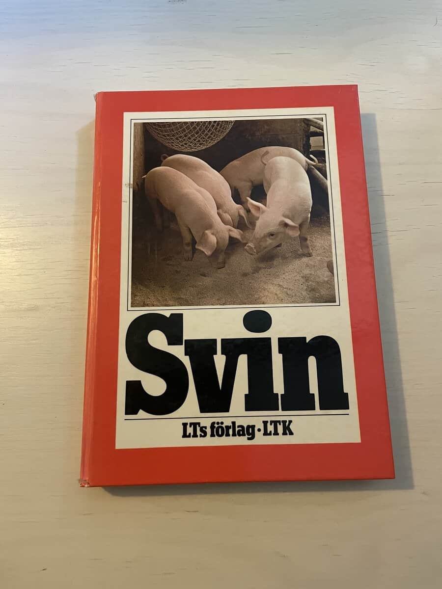Svin