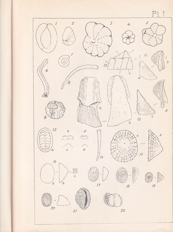 Tage Nilsson : Kompendium i kvartärpaleontologi och kvartärpaleontologiska undersökningsmetoder. I. Text + II. Planscher (komplett)