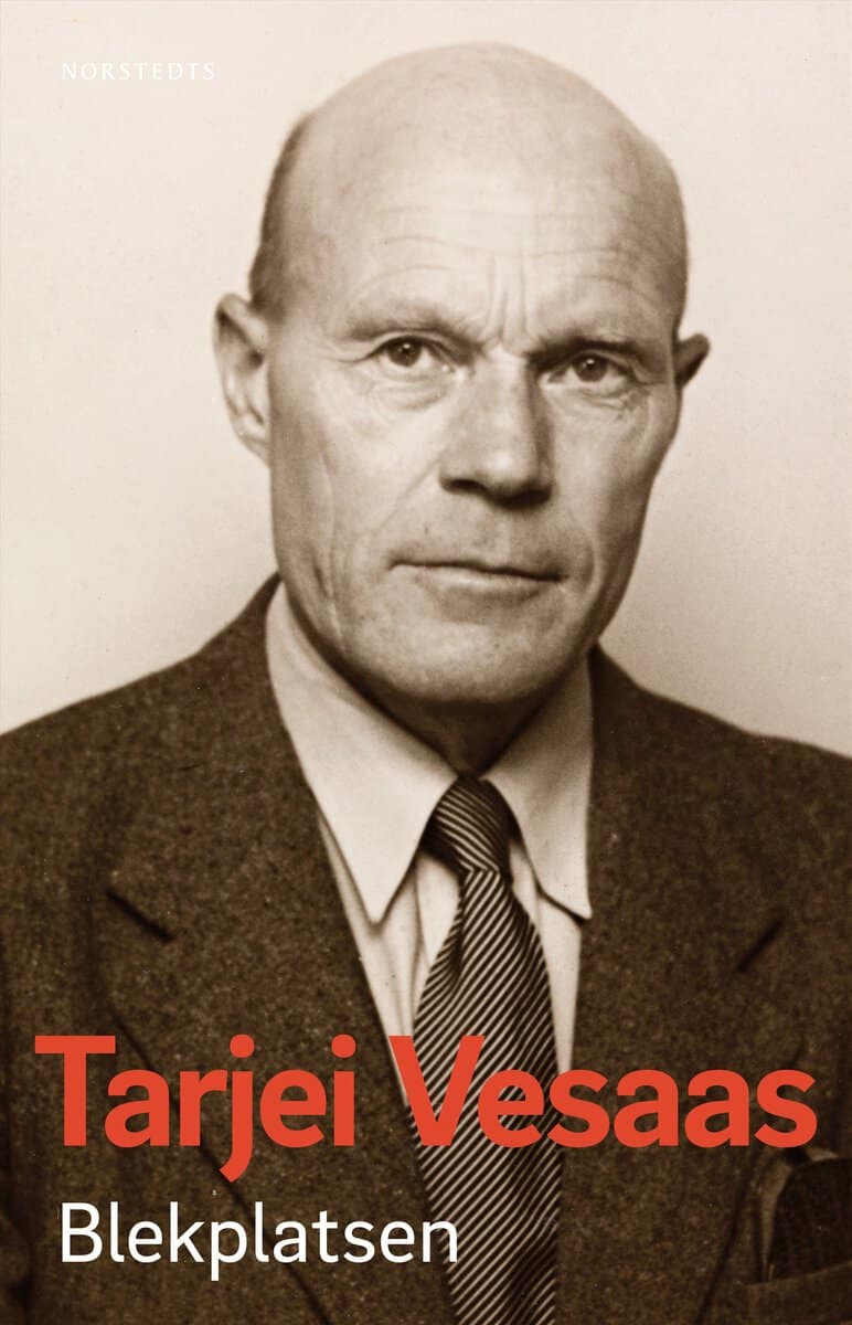 Tarjei Vesaas : Blekplatsen