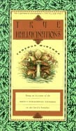 Terence McKenna : True hallucinations