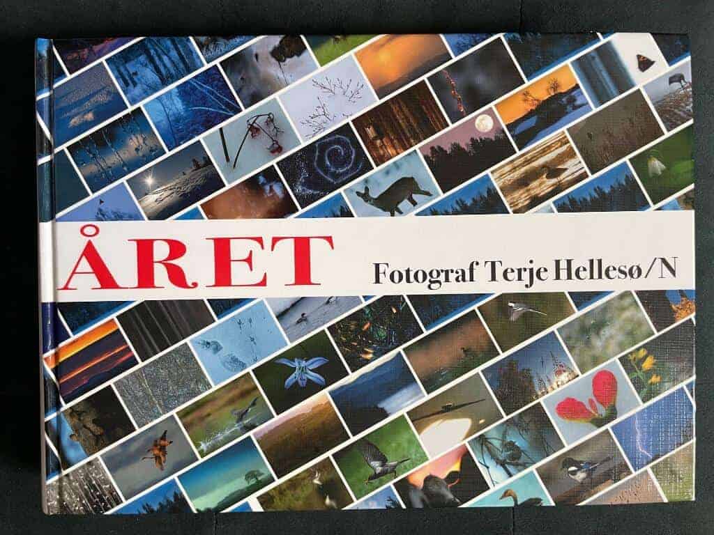 Terje Hellesø : Året