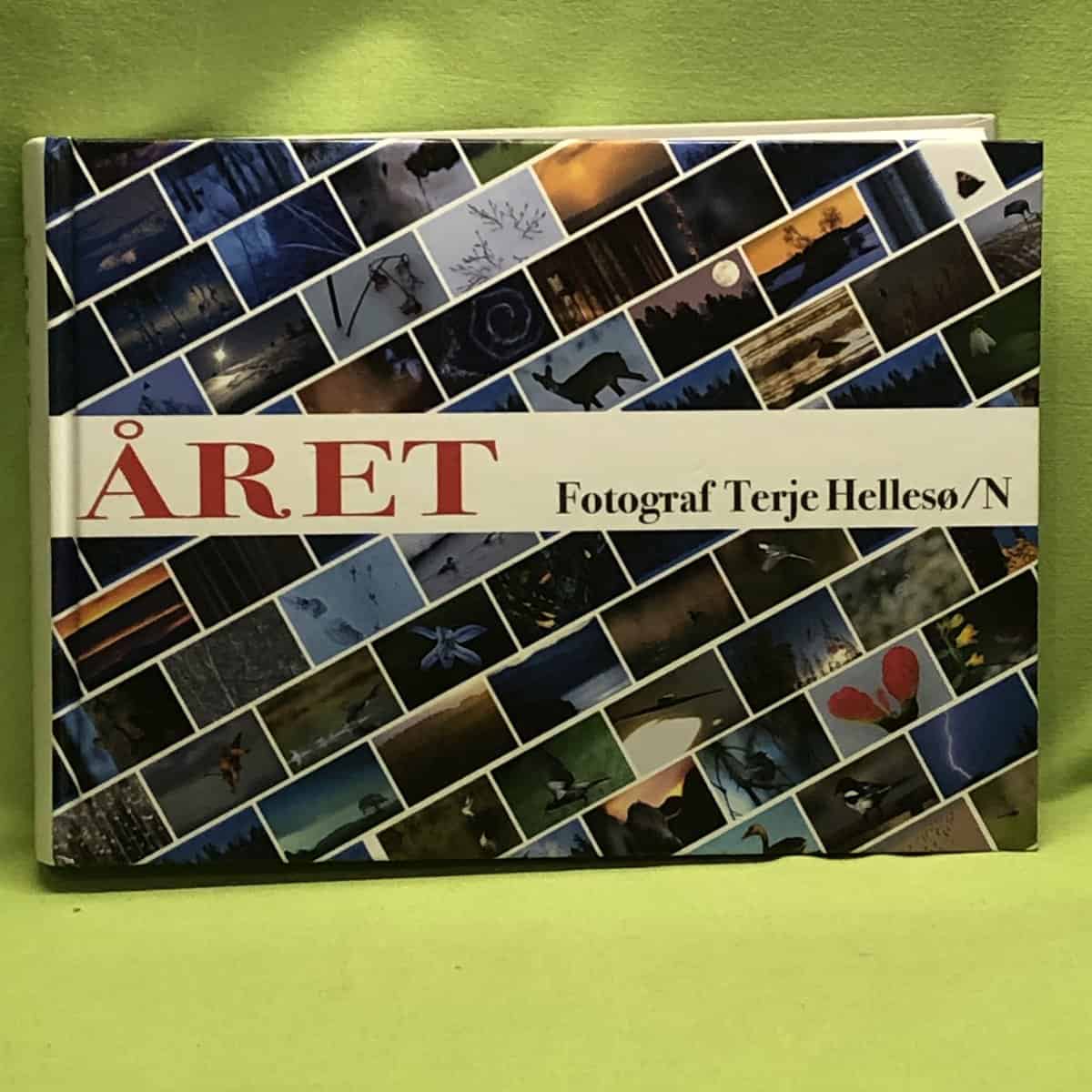 Terje Hellesø : Året