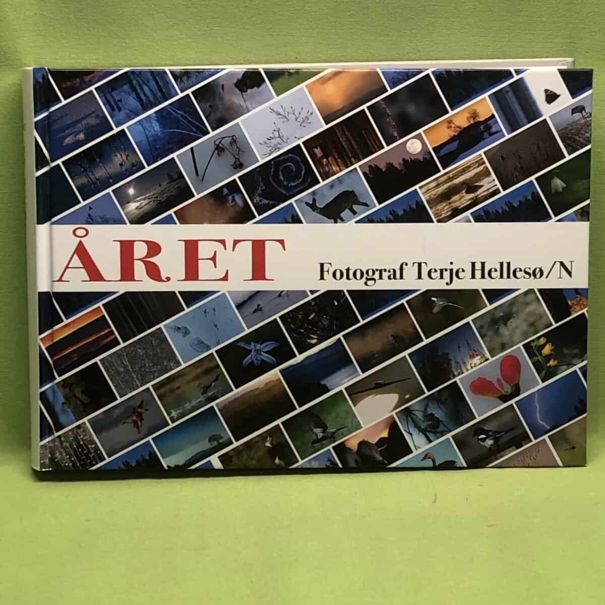 Terje Hellesø : Året