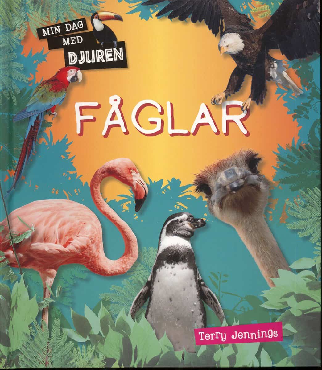 Terry Jennings : Min dag med djuren : Fåglar