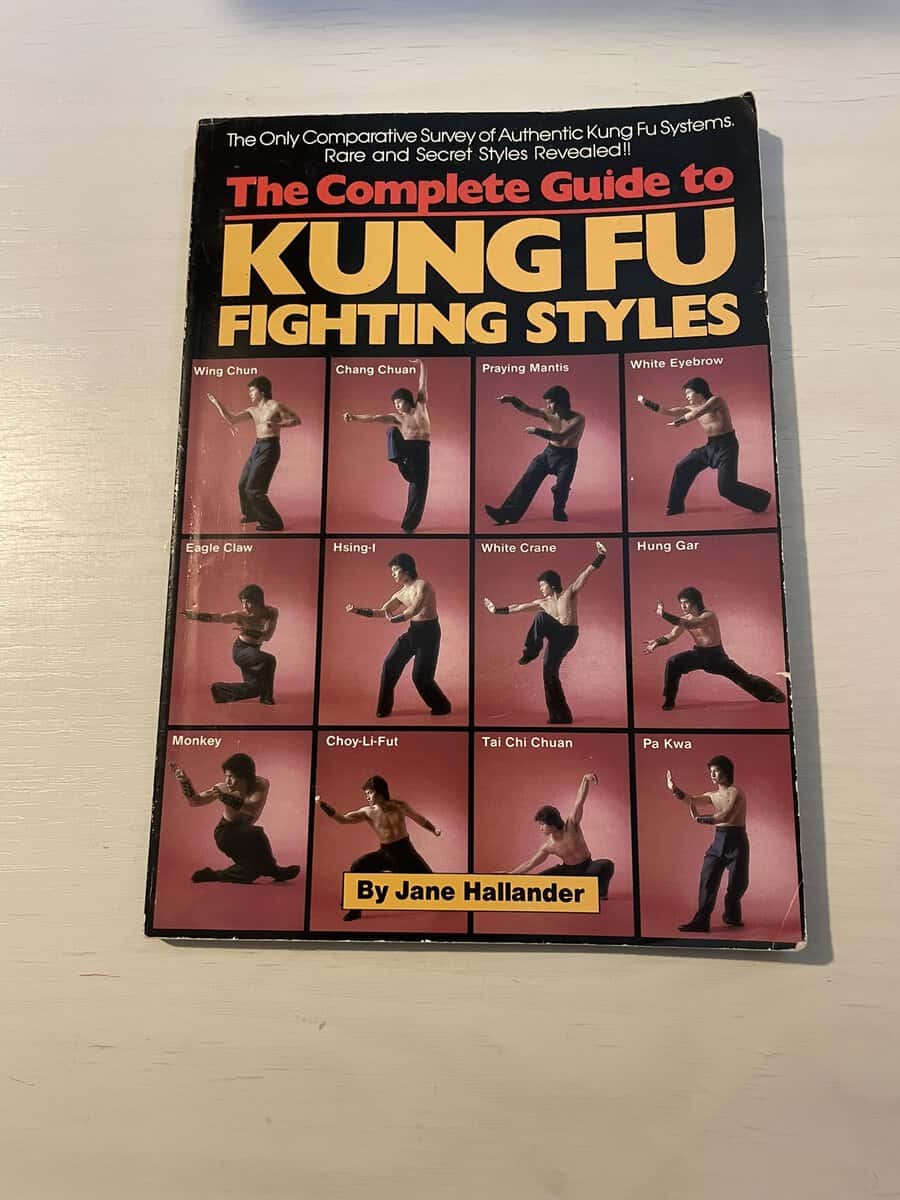 The Complete Guide to Kung Fu Fighting Styles