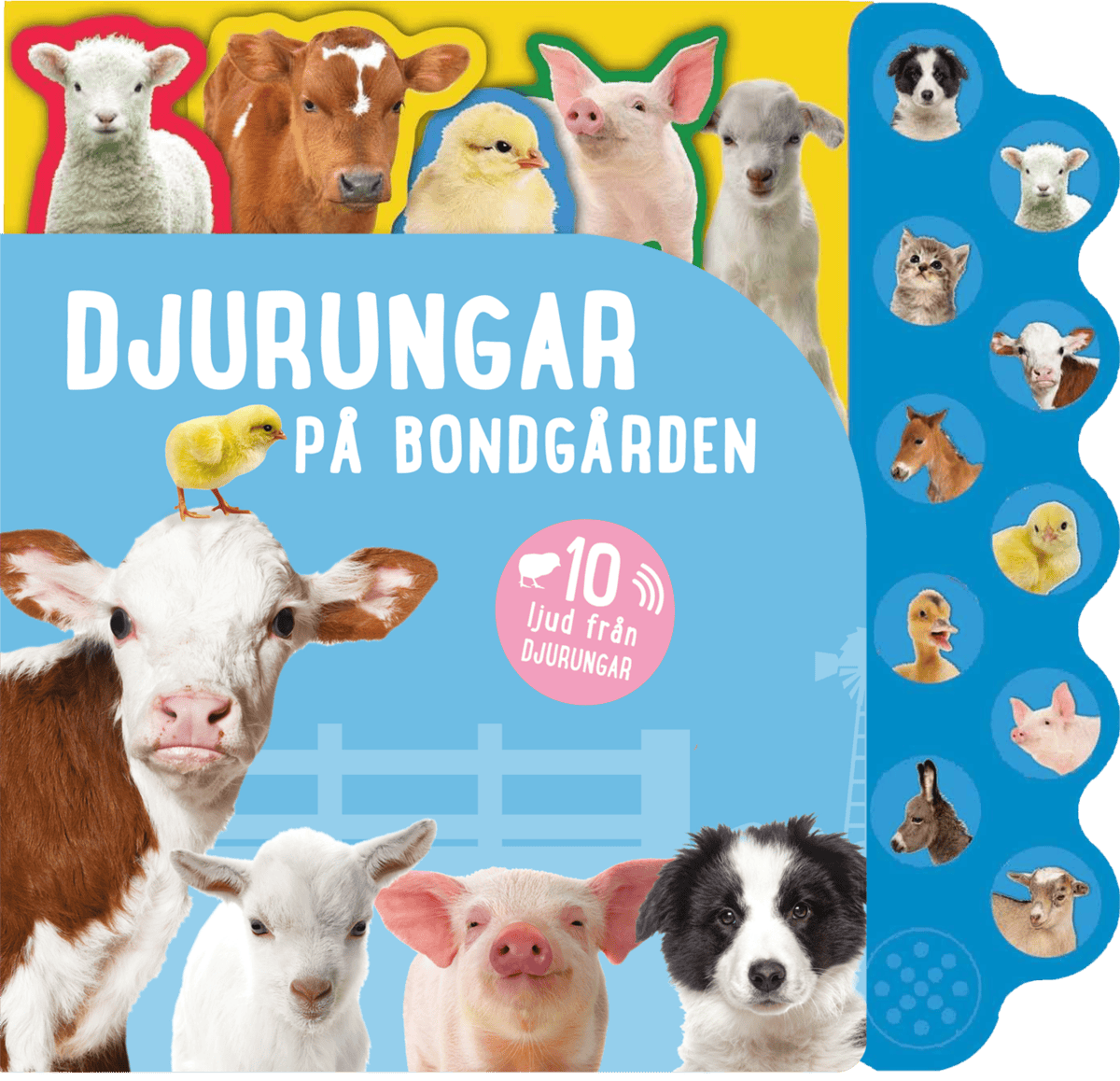 Thea Feldman : Djurungar på bondgården