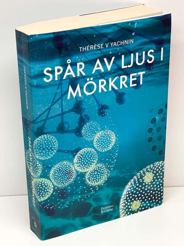 Thérèse V. Yachnin : Spår av ljus i mörkret