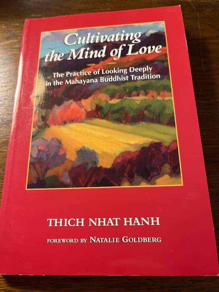 Thich Nhat Hanh : Cultivating the mind of love