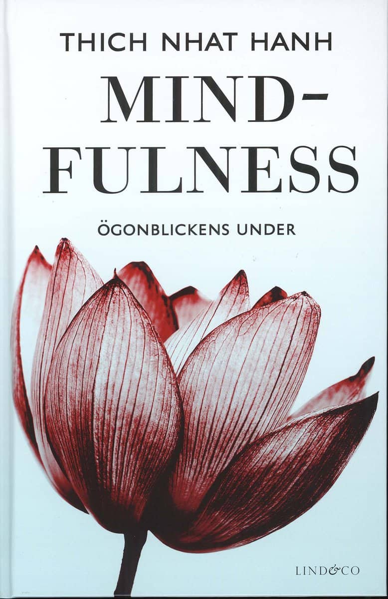 Thich Nhat Hanh : Mindfulness : ögonblickens under
