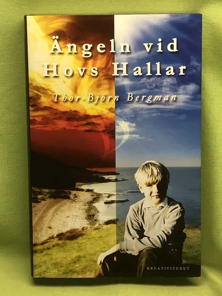 Thor-Björn Bergman : Ängeln vid Hovs hallar