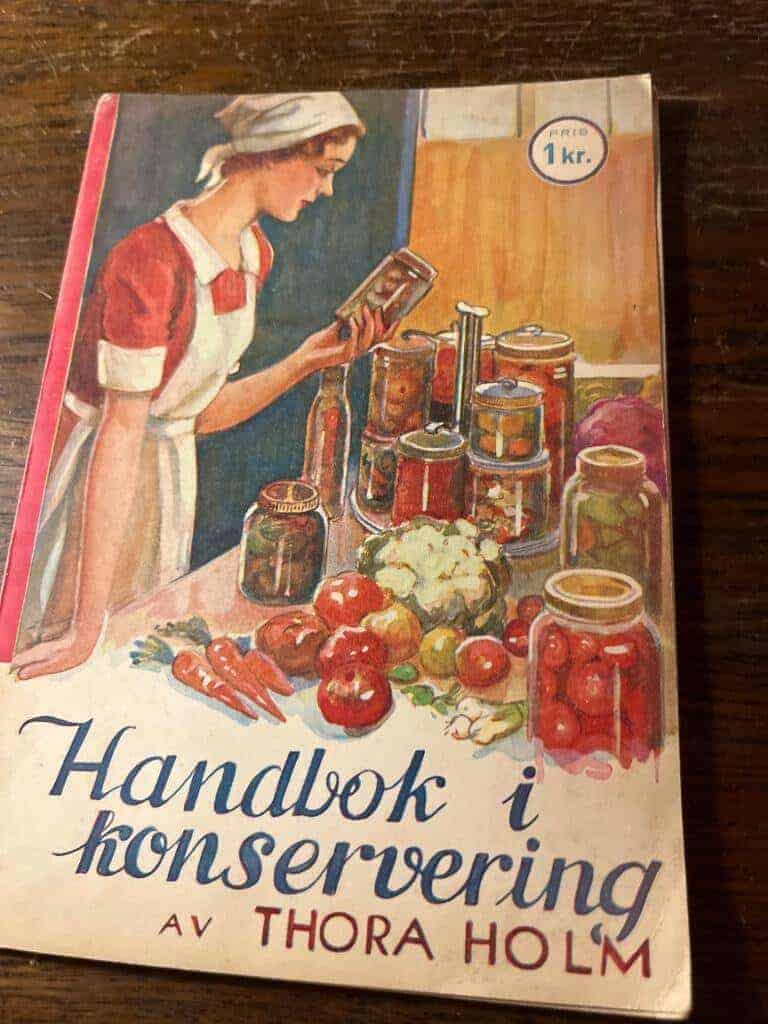 Thora Holm : Handbok i konservering