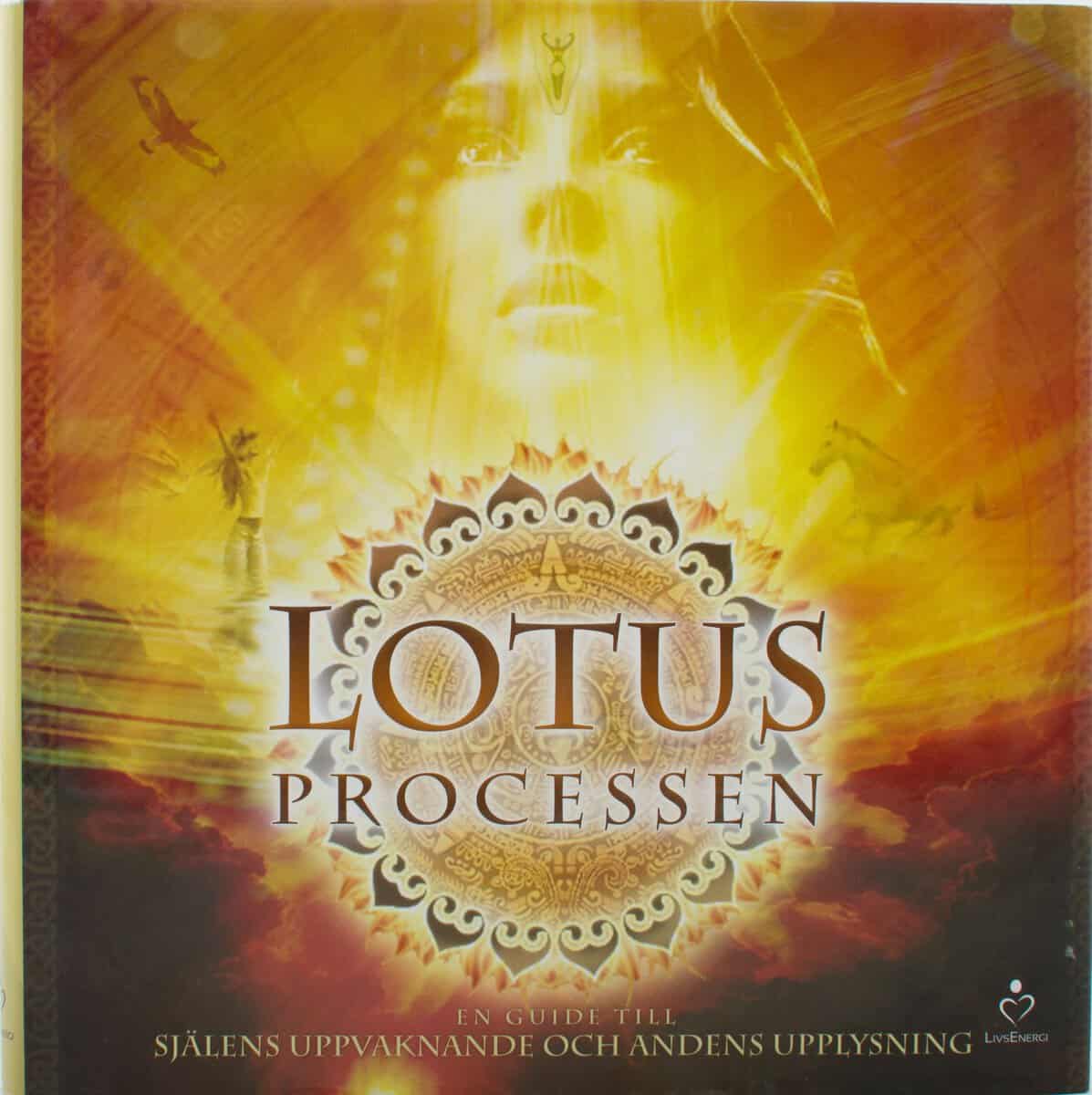 Thörn Niclas : Lotusprocessen - bok