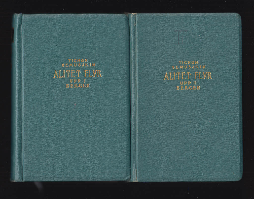 Tichon Semuškin Semusjkin : Alitet flyr upp i bergen. Del I-II (komplett)