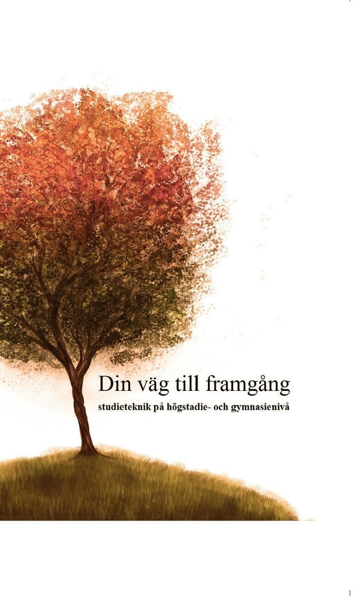 Tidsten, Martin ; Ellström Johansson, Simon ; Weinstock, Hugo ; Lieberg, Kristoffer ; Åström, Axel : Din väg till framgång