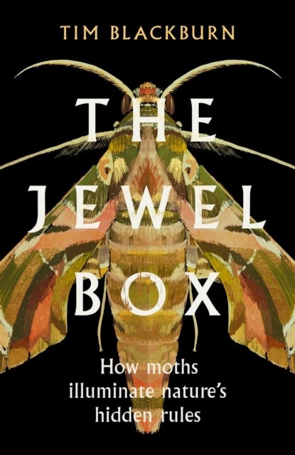 Tim Blackburn : The Jewel Box