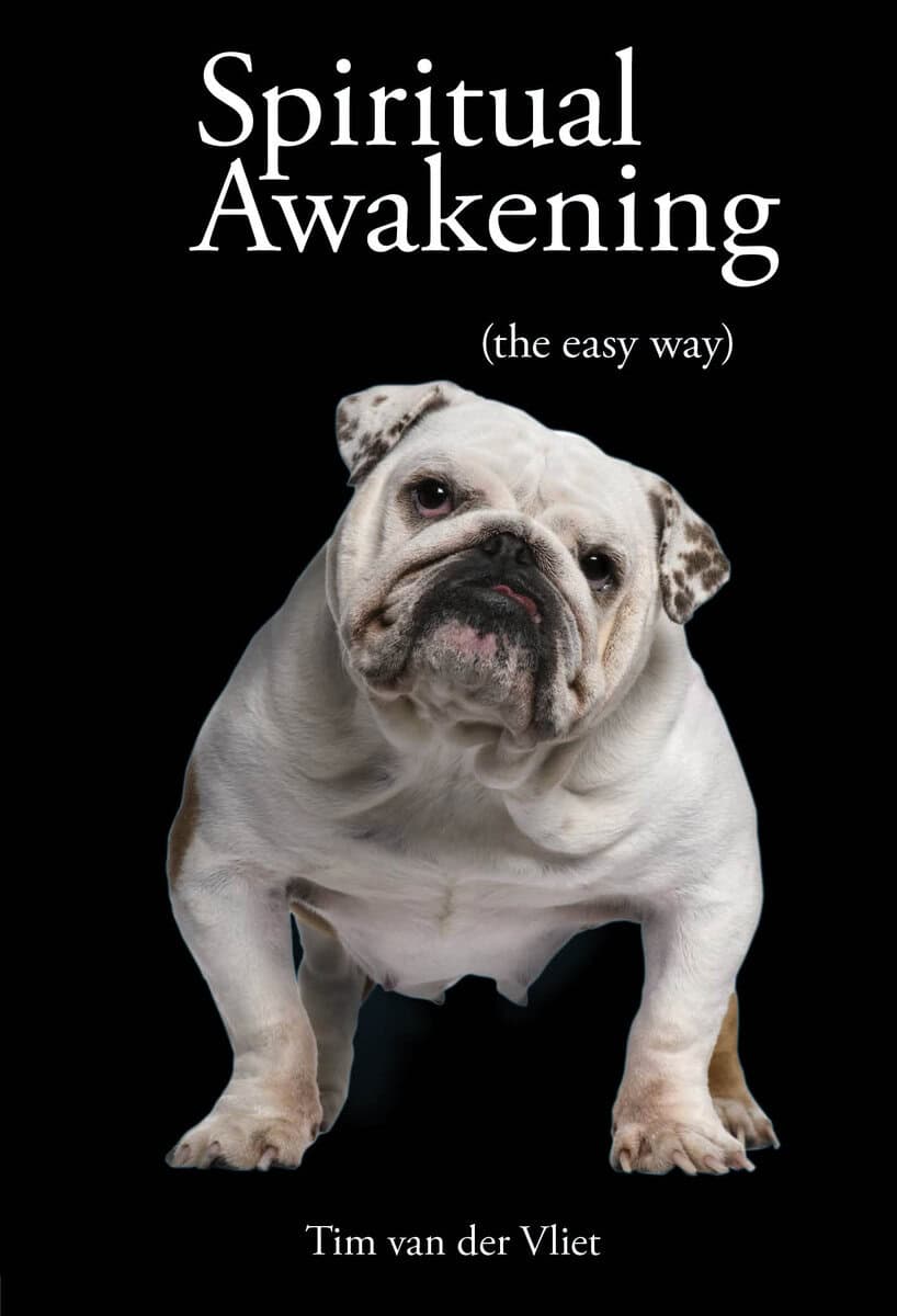 Tim Van Der Vliet : Spiritual awakening - (the easy way)