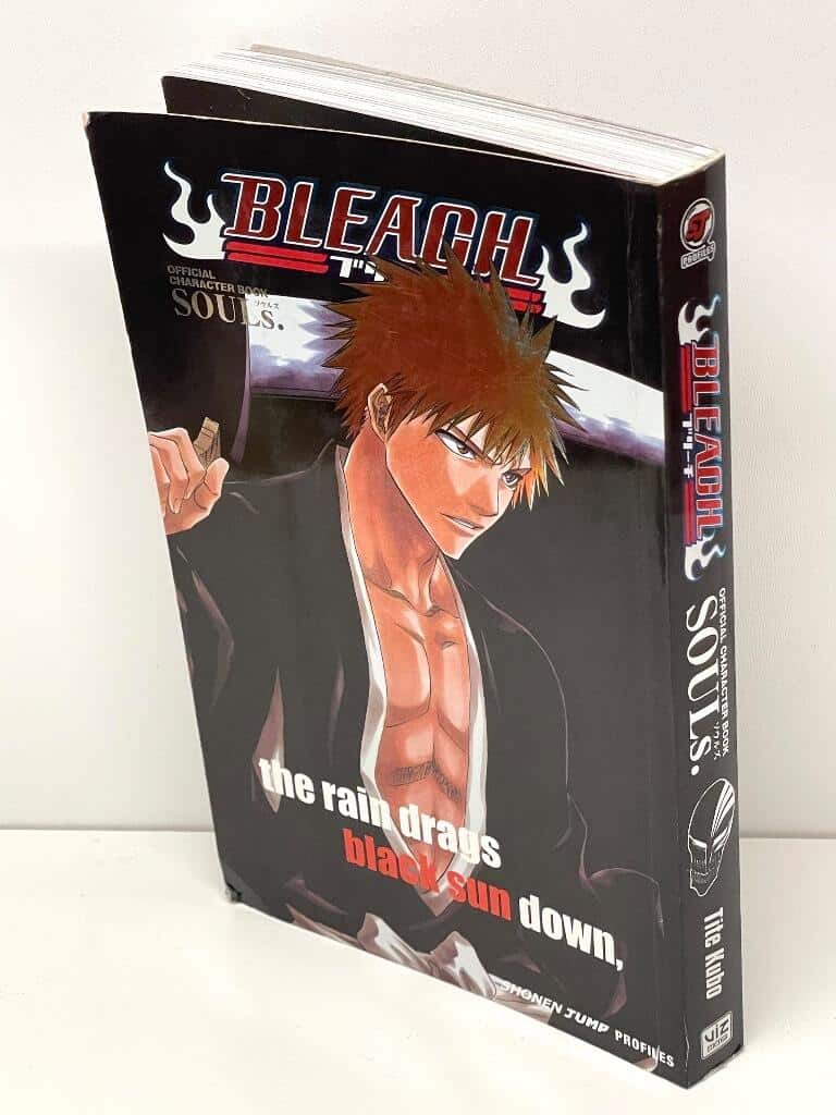 Tite Kubo : Bleach Souls