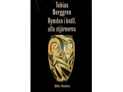 Tobias Berggren : Rymden i kväll, alla stjärnorna