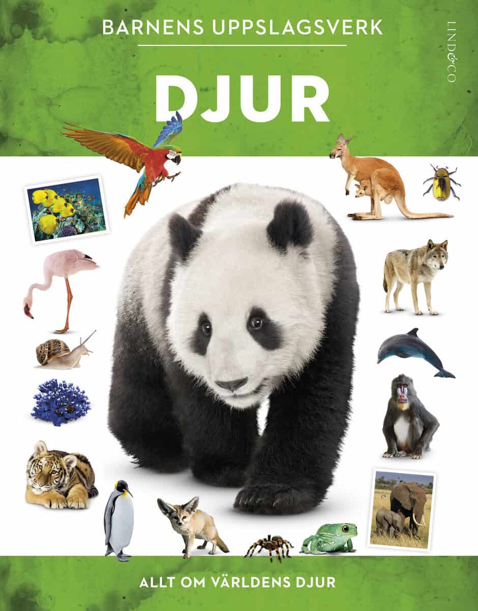 Tom Jackson : Barnens uppslagsverk