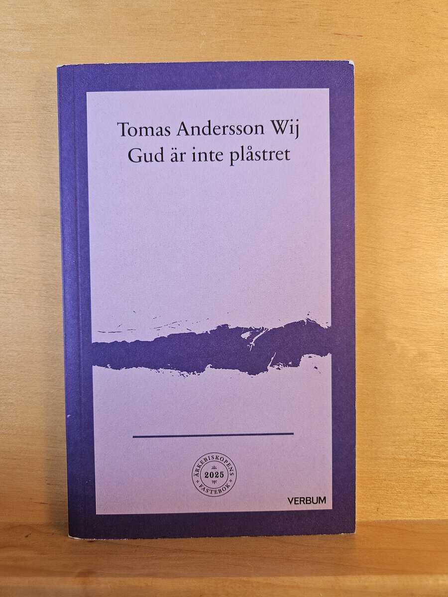 Tomas Andersson Wij : Gud är inte plåstret