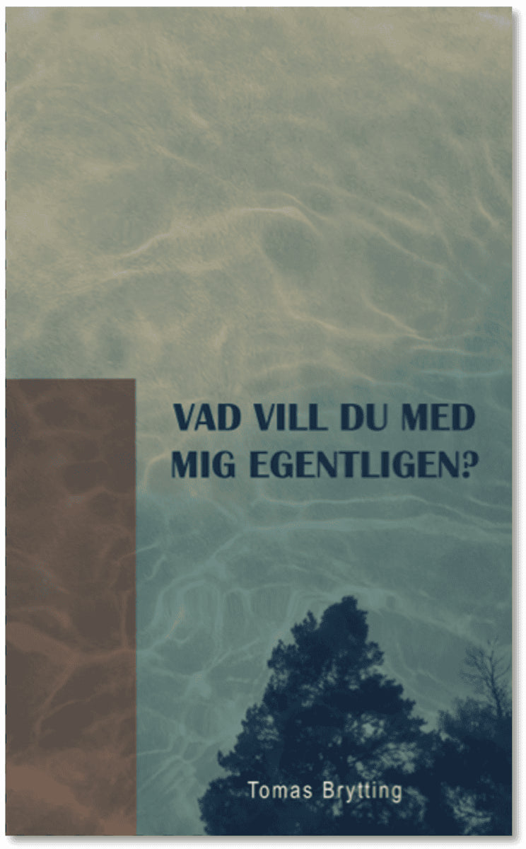 Tomas Brytting : Vad vill du med mig egentligen?