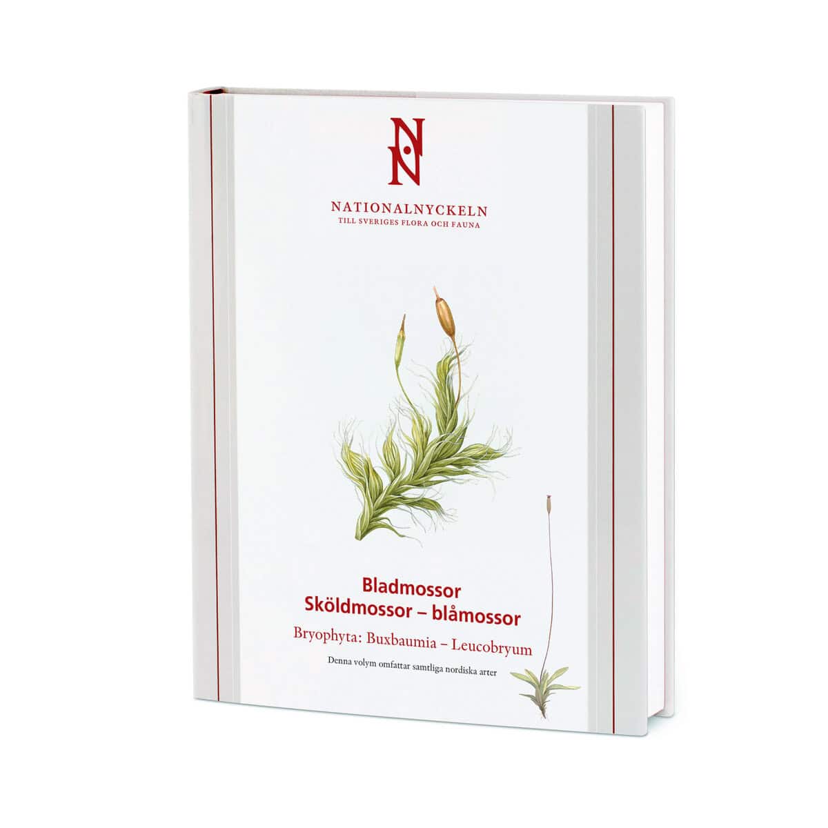 Tomas Hallingbäck : Bladmossor : sköldmossor - blåmossor. Bryophyta : buxbaumia - leucobryum