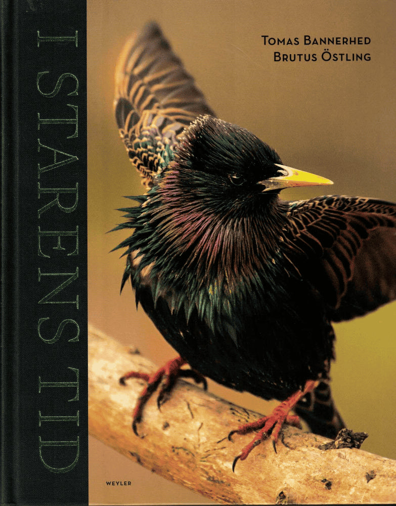 Bannerhed, Tomas ; Östling, Brutus : I starens tid