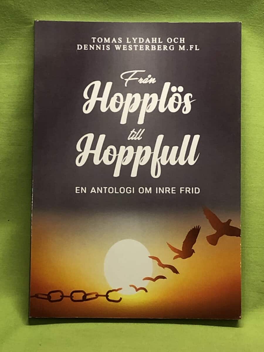 Lydahl, Tomas, Westerberg, Dennis : Från hopplös till hoppfull