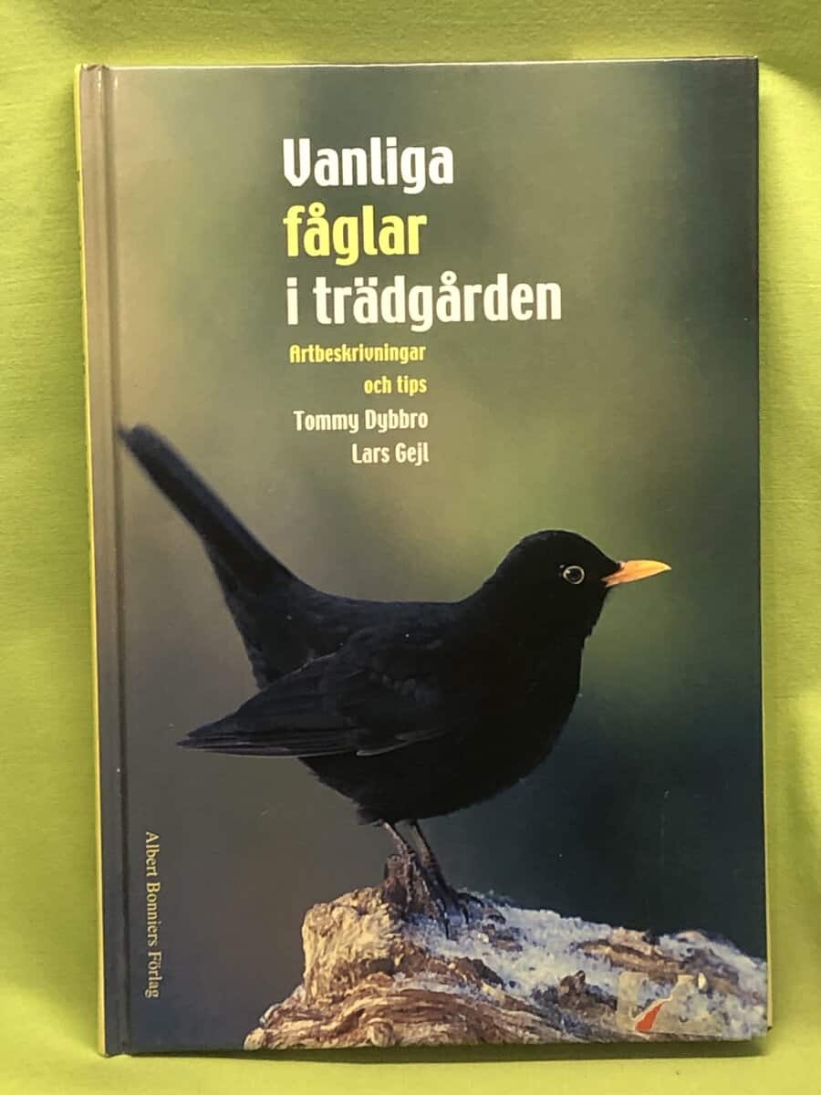 Tommy Dybbro : Vanliga fåglar i trädgården