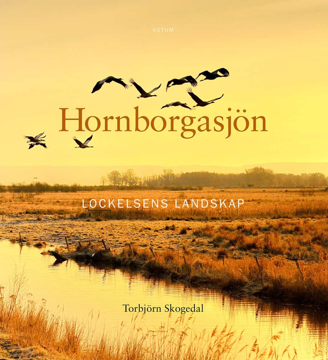 Torbjörn Skogedal : Hornborgasjön : Lockelsens landskap