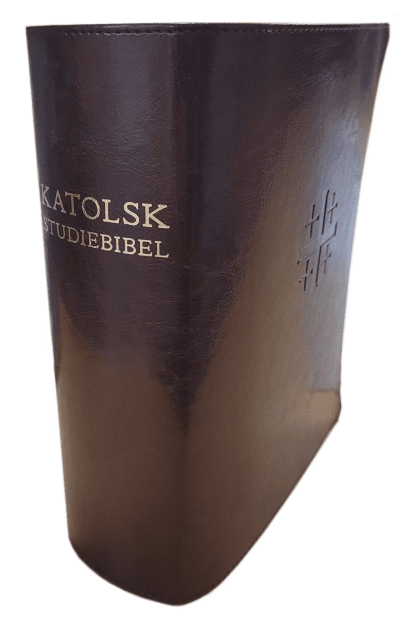 Tord Fornberg : Katolsk studiebibel