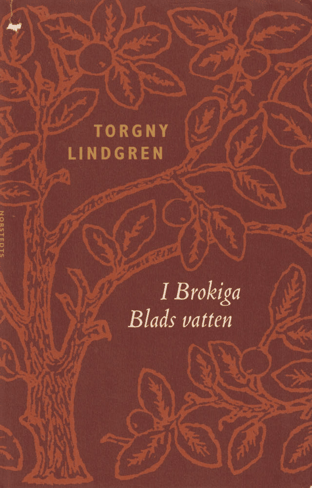 Torgny Lindgren : I Brokiga Blads vatten
