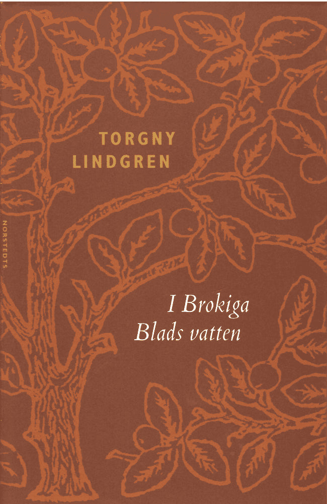 Torgny Lindgren : I Brokiga Blads vatten